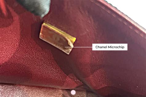 chanel microchip scan